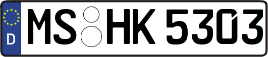 MS-HK5303