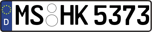 MS-HK5373
