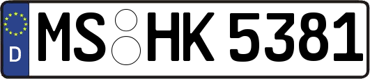 MS-HK5381