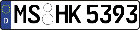 MS-HK5393