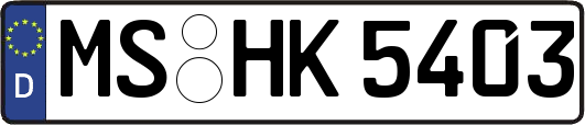 MS-HK5403