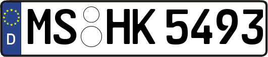 MS-HK5493