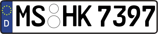 MS-HK7397