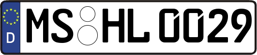 MS-HL0029
