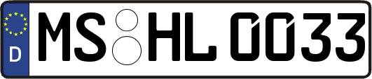 MS-HL0033