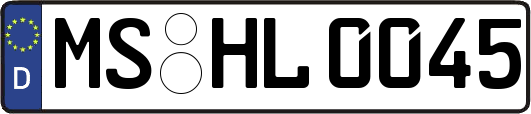 MS-HL0045