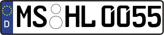 MS-HL0055