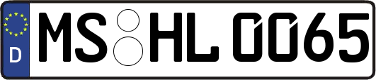 MS-HL0065