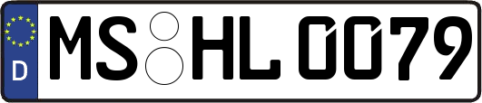 MS-HL0079