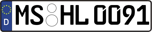 MS-HL0091