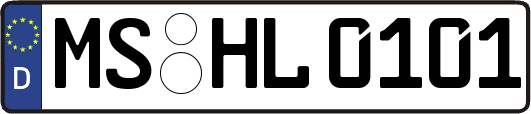 MS-HL0101