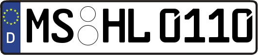 MS-HL0110