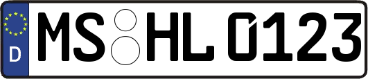 MS-HL0123