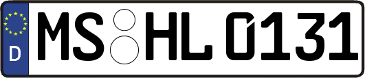MS-HL0131