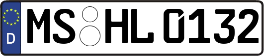 MS-HL0132