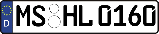 MS-HL0160