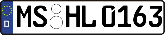MS-HL0163