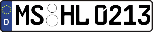 MS-HL0213