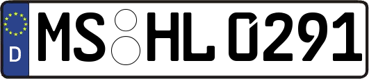 MS-HL0291