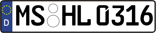 MS-HL0316