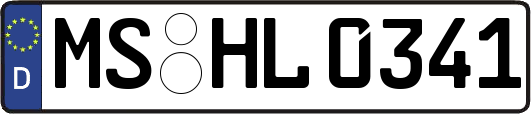 MS-HL0341