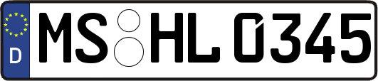 MS-HL0345