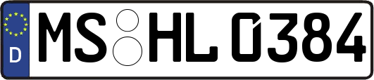 MS-HL0384