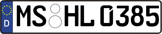 MS-HL0385