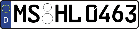 MS-HL0463