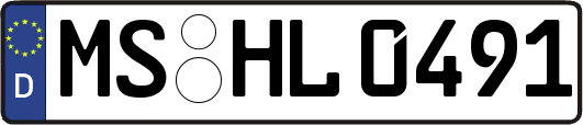 MS-HL0491