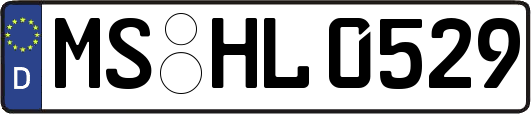 MS-HL0529