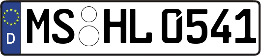 MS-HL0541