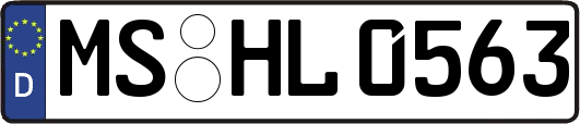 MS-HL0563