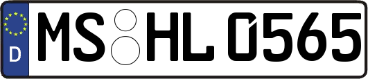 MS-HL0565