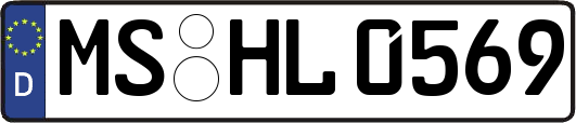 MS-HL0569
