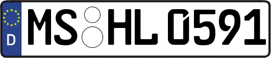 MS-HL0591