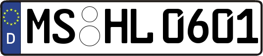 MS-HL0601