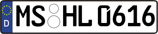 MS-HL0616