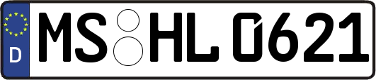 MS-HL0621