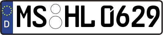 MS-HL0629