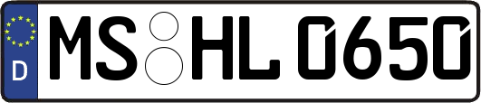 MS-HL0650