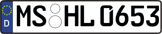 MS-HL0653