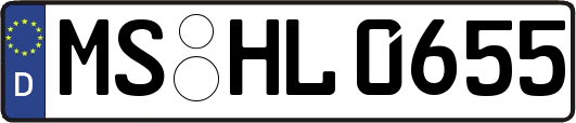 MS-HL0655