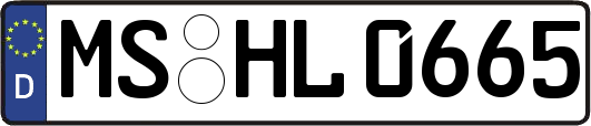 MS-HL0665