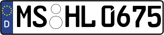MS-HL0675