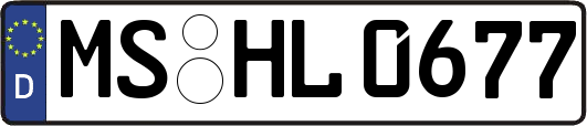 MS-HL0677