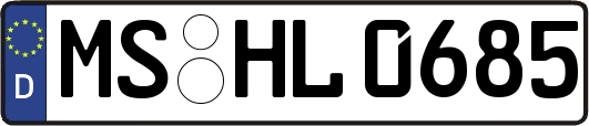 MS-HL0685