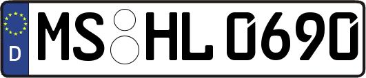 MS-HL0690