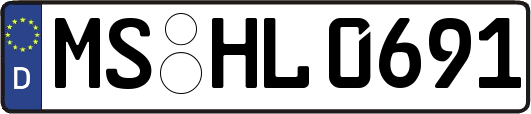 MS-HL0691