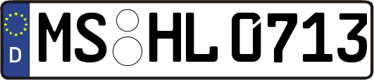 MS-HL0713